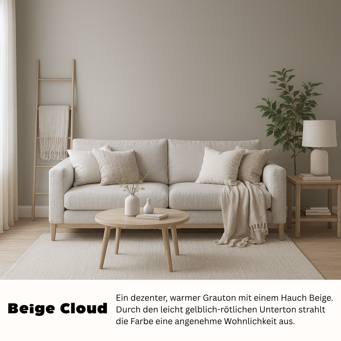 2,5 L Design Innenfarbe - matte Premium-Wandfarbe in modernen Trendfarben – Profi-Qualität