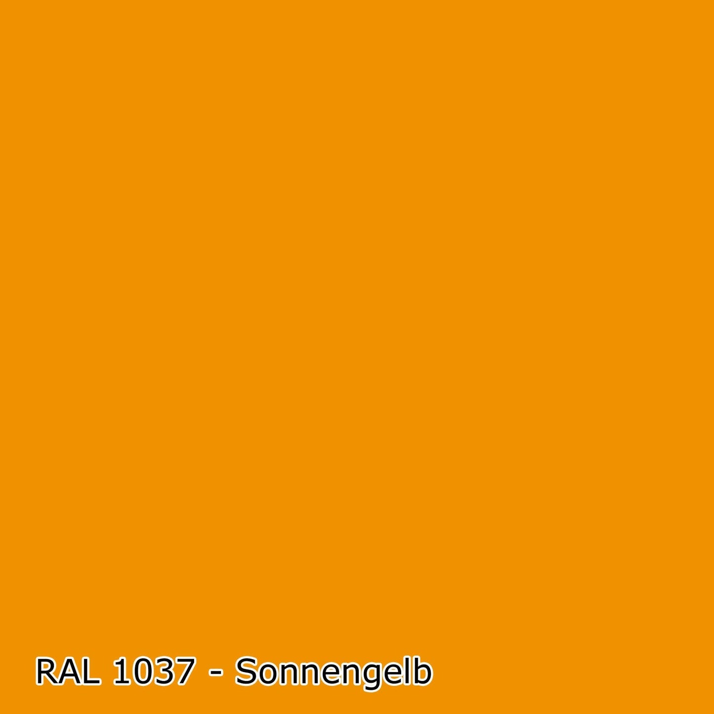 2,5 L Wetterschutzfarbe, Holzfarbe, Holzlack, Deckend, RAL Farbwahl - SEIDENMATT (RAL 1000 - 6007)