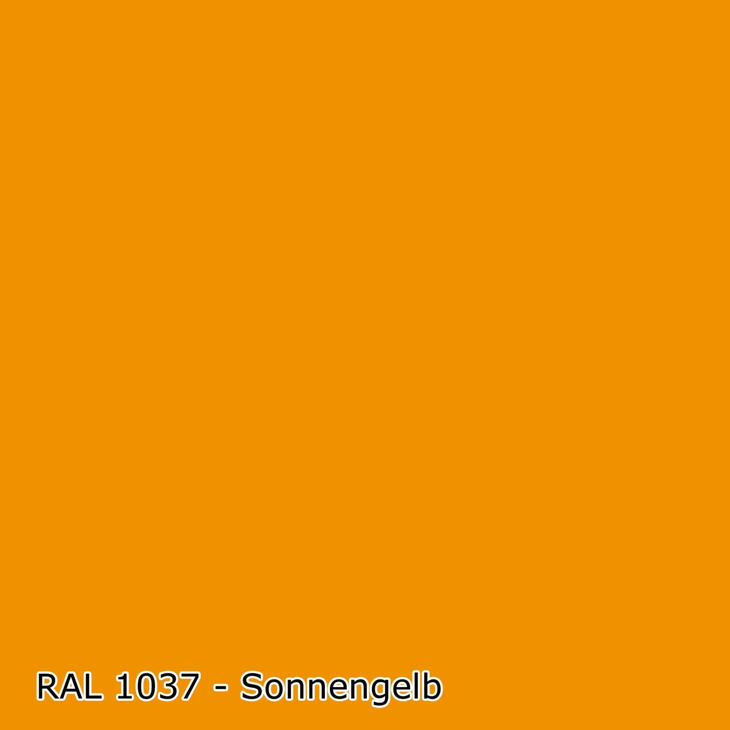 1 L Holzlack, RAL Farbwahl - SEIDENGLANZ (RAL 1000 - 6007)