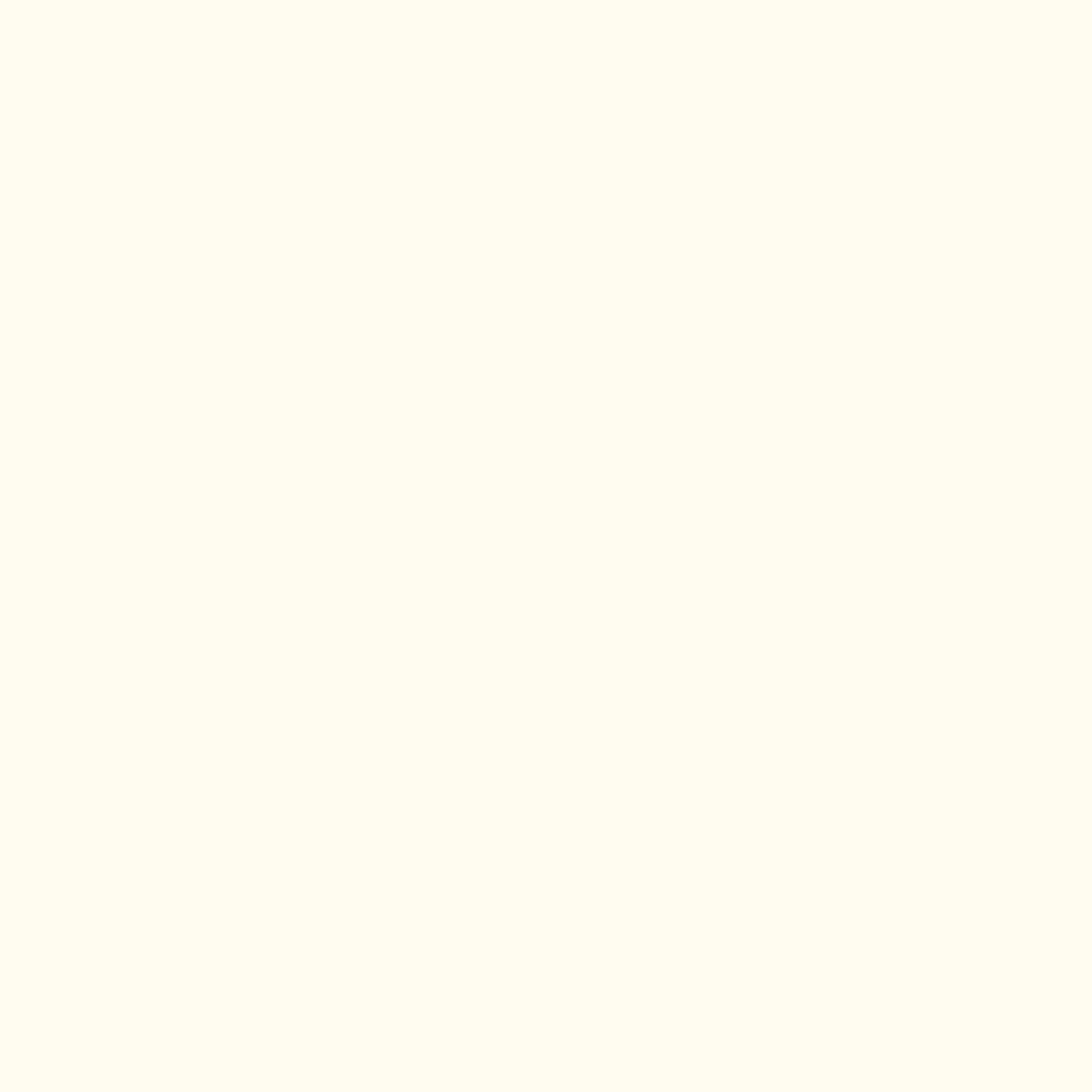 2,5 L Innenfarbe, NCS S 0603-Y40R, Warmes Lichtweiß, Creme - MATT