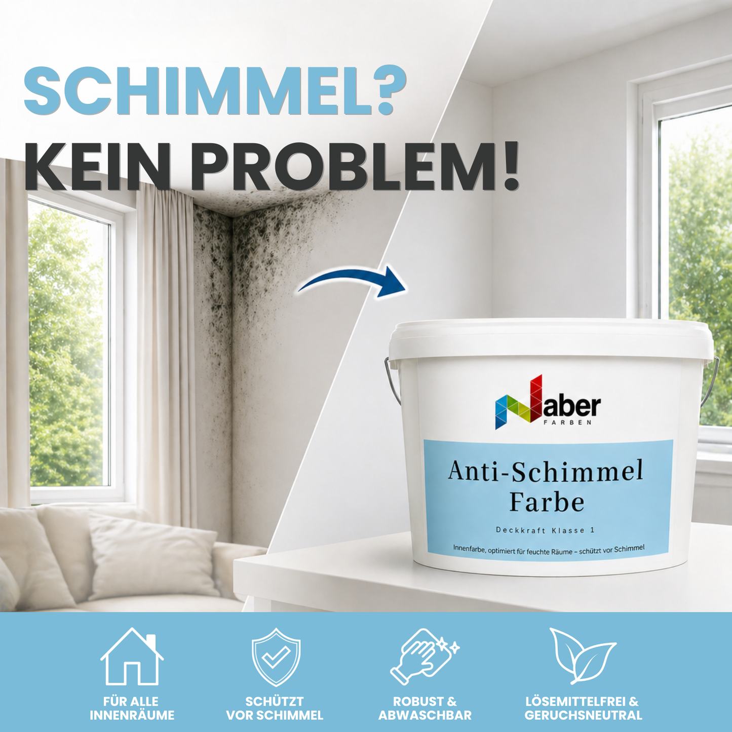 Antischimmelfarbe, Wandfarbe, Farbwahl - MATT