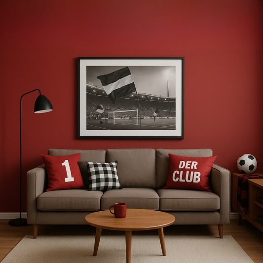 Innenfarbe, Wandfarbe, Frankenrot, Fanfarbe - Matt