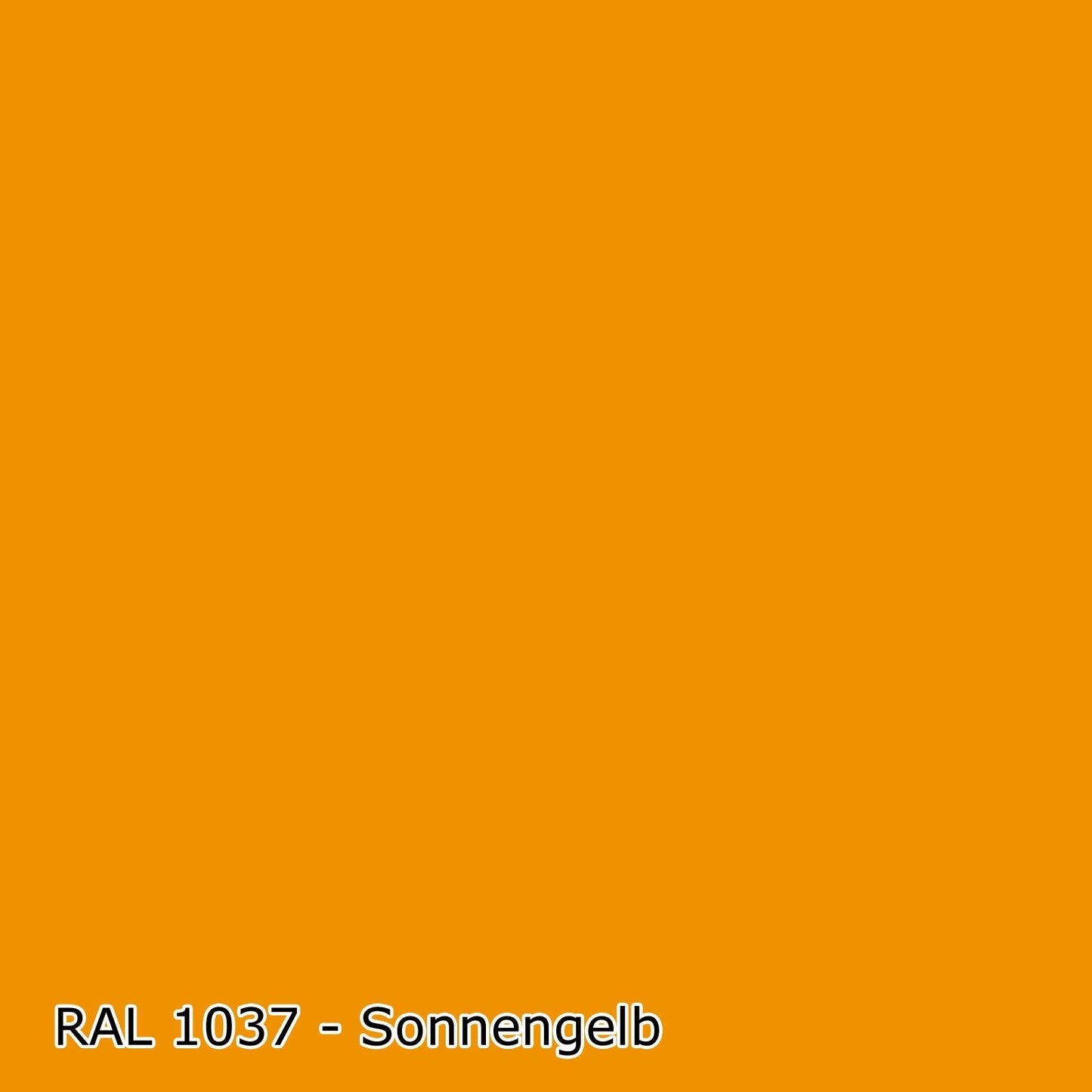 2,5 L Latexfarbe, RAL Farbwahl - MATT (RAL 1000 - 6007)